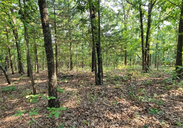 5th image of 0 11 Ac State Road Cc, Festus, MO 63028 | MLS# 23046765