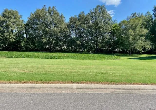 Photo 2 of Land for sale at 25 Brookfield, Dexter, MO 63841 | MLS# 23052824 | Listing updated on 2024-07-23