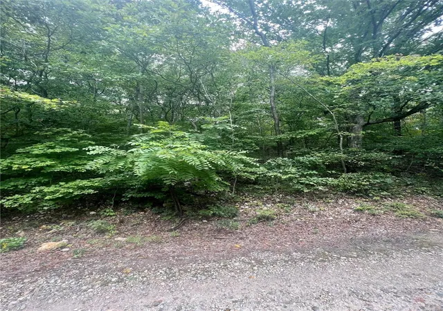 Photo 2 of Land for sale at 2265 W Tomahawk Trl, De Soto, MO 63020 | MLS# 23053059 | Listing updated on 2024-12-04