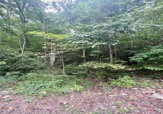 Photo 3 of Land for sale at 2265 W Tomahawk Trl, De Soto, MO 63020 | MLS# 23053059 | Listing updated on 2024-12-04
