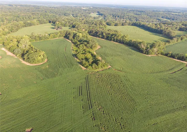 Photo 2 of Land for sale at 20501 Maple Dr, Center, MO 63436 | MLS# 23053862 | Listing updated on 2024-11-25