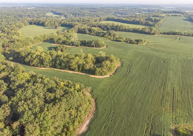 Photo 3 of Land for sale at 20501 Maple Dr, Center, MO 63436 | MLS# 23053862 | Listing updated on 2024-11-25
