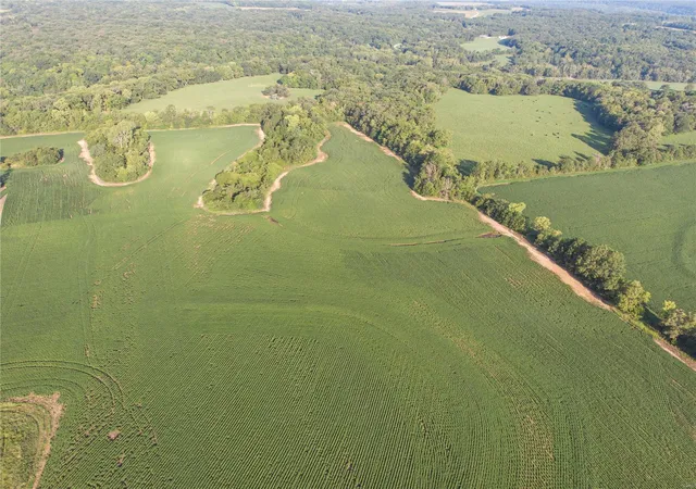 Photo 6 of Land for sale at 20501 Maple Dr, Center, MO 63436 | MLS# 23053862 | Listing updated on 2024-11-25
