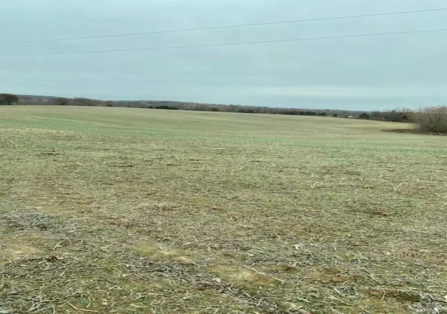 Photo 1 of Land for sale at 267 County Rd, Puxico, MO 63960 | MLS# 23054870 | Listing updated on 2024-11-05