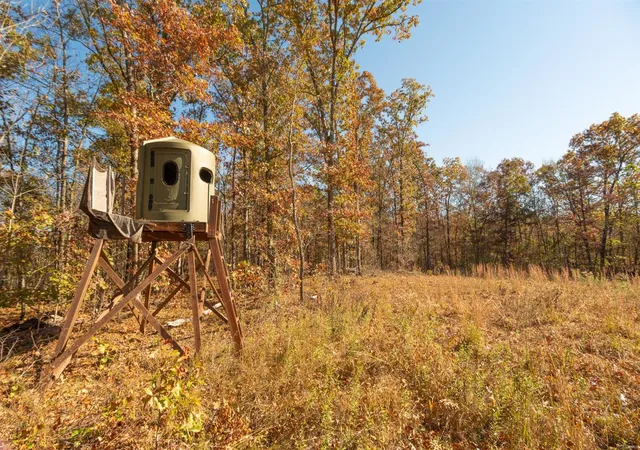 Photo 2 of Land for sale at 0 County Road 534, Poplar Bluff, MO 63901 | MLS# 23066121 | Listing updated on 2024-11-04