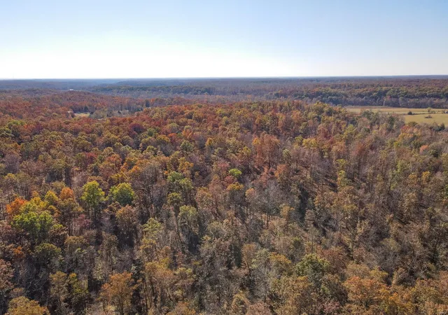 Photo 3 of Land for sale at 0 County Road 534, Poplar Bluff, MO 63901 | MLS# 23066121 | Listing updated on 2024-11-04