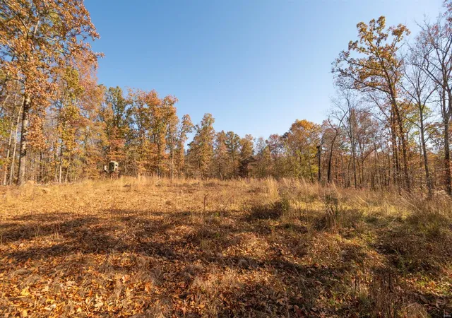 Photo 3 of House for sale at 0 County Road 534, Poplar Bluff, MO 63901 | MLS# 23066121 | Listing updated on 2024-11-04