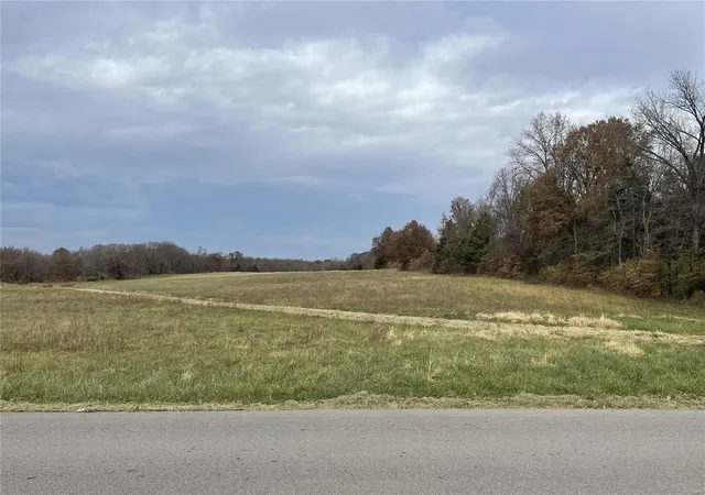 3rd image of 10 +/- Acres Snyder Rd, Troy, MO 63379 | MLS# 23067539