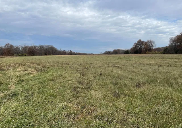 4th image of 10 +/- Acres Snyder Rd, Troy, MO 63379 | MLS# 23067539