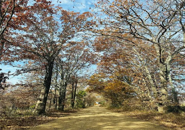 Photo 1 of Land for sale at 0 Bcr 807, Glen Allen, MO 63751 | MLS# 23073029 | Listing updated on 2024-10-01