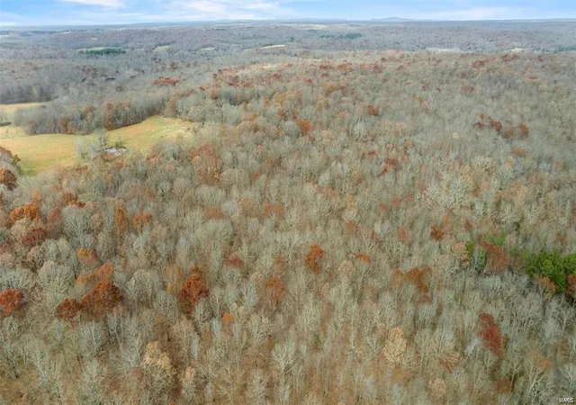 Photo 2 of Land for sale at 0 Bcr 807, Glen Allen, MO 63751 | MLS# 23073029 | Listing updated on 2024-10-01