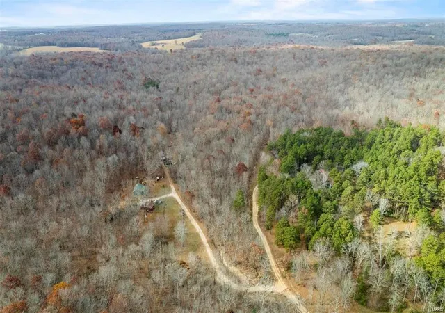 Photo 4 of Land for sale at 0 Bcr 807, Glen Allen, MO 63751 | MLS# 23073029 | Listing updated on 2024-10-01