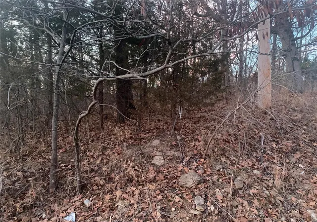Photo 1 of Land for sale at 2544 Parthenon Dr, De Soto, MO 63020 | MLS# 23073770 | Listing updated on 2024-11-06