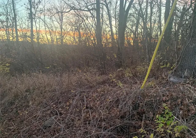 Photo 3 of Land for sale at 2544 Parthenon Dr, De Soto, MO 63020 | MLS# 23073770 | Listing updated on 2024-11-06