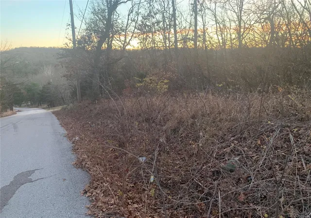 Photo 3 of Land for sale at 2544 Parthenon Dr, De Soto, MO 63020 | MLS# 23073770 | Listing updated on 2024-11-06