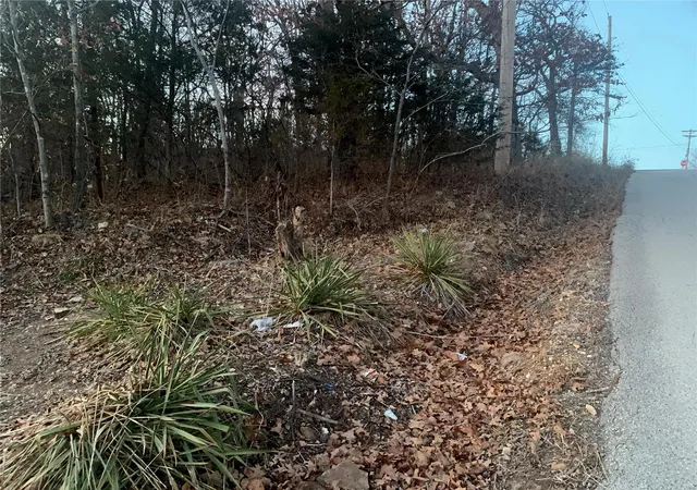 Photo 4 of Land for sale at 2544 Parthenon Dr, De Soto, MO 63020 | MLS# 23073770 | Listing updated on 2024-11-06