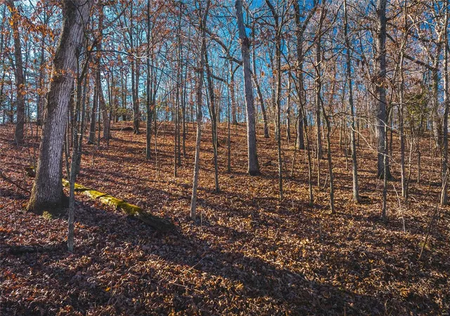 Photo 21 of Land for sale at 0 Skywater Road, Gravois Mills, MO 65037 | MLS# 23074420 | Listing updated on 2023-12-20