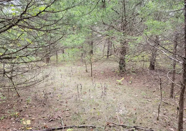 3rd image of 2467 E Squire Rd, Marthasville, MO 63357 | MLS# 23074820