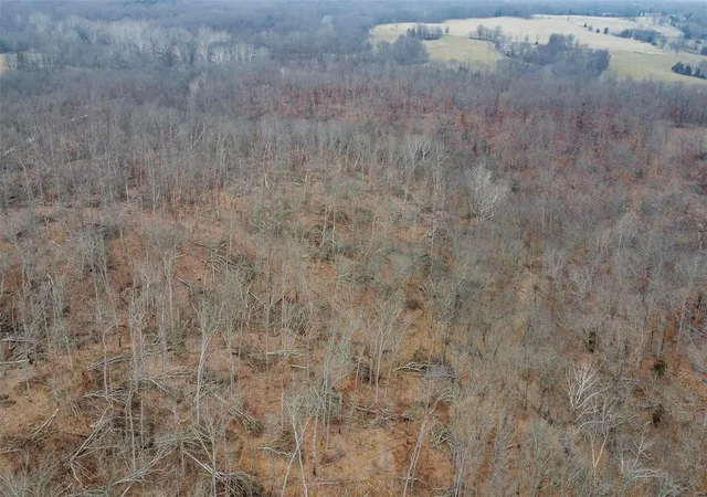 Photo 2 of Land for sale at 0 Twp 48n R8w S34 County Rd 135, Fulton, MO 65251 | MLS# 24000765 | Listing updated on 2024-08-12