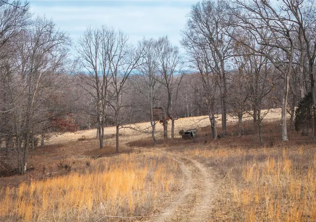 Photo 15 of Land for sale at 0 Hwy N, Rogersville, MO 63072 | MLS# 24002956 | Listing updated on 2024-12-04