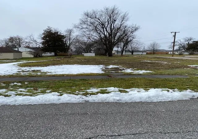Photo 1 of Sale Pending at 313 S Davis St, Monroe City, MO 63456 | MLS# 24005751 | Listing updated on 2024-07-25