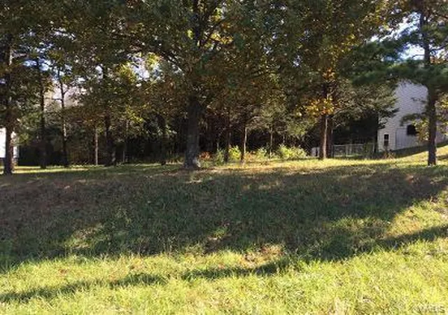 Photo 4 of Land for sale at 13616 Kondike Rd, De Soto, MO 63020 | MLS# 24007098 | Listing updated on 2024-02-12