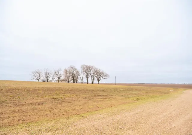 Photo 14 of Single family home for sale at 15701 County Road 533, Bloomfield, MO 63825 | MLS# 24007375 | Listing updated on 2025-03-17