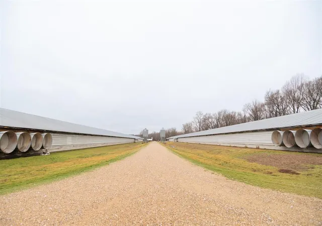 Photo 2 of Single family home for sale at 15701 County Road 533, Bloomfield, MO 63825 | MLS# 24007375 | Listing updated on 2025-03-17