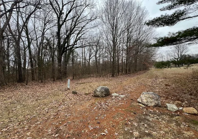 Photo 1 of Land for sale at 0 E Of Martindale, Poplar Bluff, MO 63901 | MLS# 24007612 | Listing updated on 2024-09-20