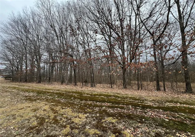 Photo 2 of Land for sale at 0 E Of Martindale, Poplar Bluff, MO 63901 | MLS# 24007612 | Listing updated on 2024-09-20