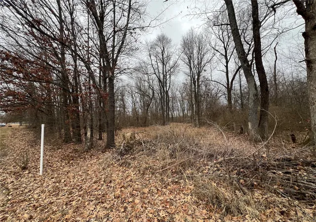 Photo 3 of Land for sale at 0 E Of Martindale, Poplar Bluff, MO 63901 | MLS# 24007612 | Listing updated on 2024-09-20
