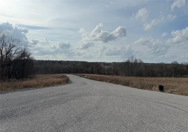 Photo 3 of Land for sale at 0 Co Rd 205, Cape Girardeau, MO 63701 | MLS# 24009068 | Listing updated on 2024-03-07