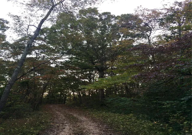 Photo 1 of Land for sale at 0 Singing Hill Dr, Imperial, MO 63052 | MLS# 24009328 | Listing updated on 2024-02-16