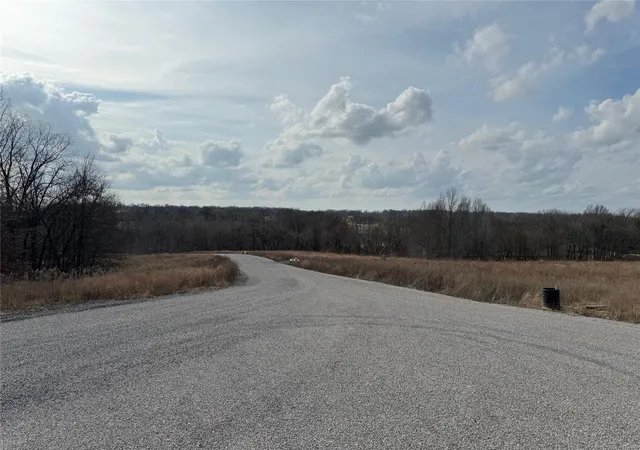 Photo 3 of Land for sale at 0 County Road 205, Cape Girardeau, MO 63701 | MLS# 24009466 | Listing updated on 2024-03-07