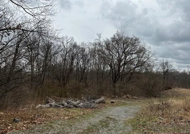 Photo 2 of Land for sale at 4161 Hopper Rd, Cape Girardeau, MO 63701 | MLS# 24011578 | Listing updated on 2024-03-01