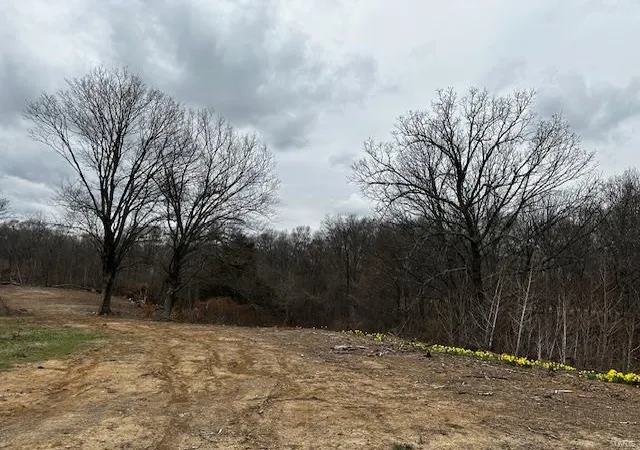 Photo 3 of Land for sale at 4161 Hopper Rd, Cape Girardeau, MO 63701 | MLS# 24011578 | Listing updated on 2024-03-01