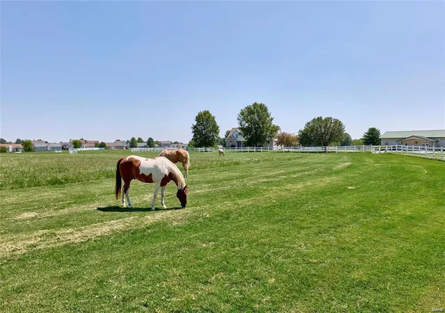 97th image of 2190 Hwy 47 West, Troy, MO 63379 | MLS# 24012000