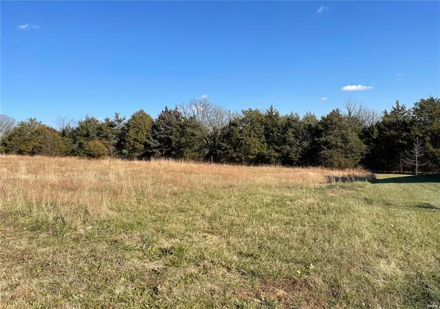 Photo 1 of Land for sale at 0 Ridgepoint Meadows Ct, Union, MO 63084 | MLS# 24012328 | Listing updated on 2024-03-07