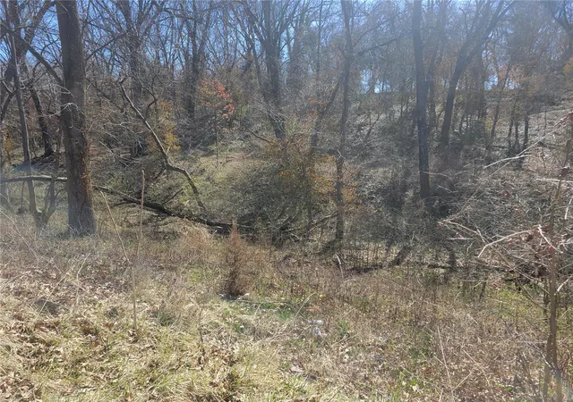 Photo 2 of Land for sale at 2209 College Ave, Alton, IL 62002 | MLS# 24014173 | Listing updated on 2024-10-21