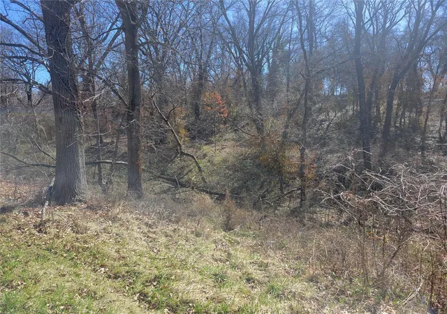 Photo 3 of Land for sale at 2209 College Ave, Alton, IL 62002 | MLS# 24014173 | Listing updated on 2024-10-21