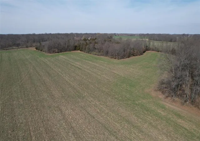 Photo 25 of Sale Pending at 0 Lot #8   State Hwy 15, Mexico, MO 65265 | MLS# 24015699 | Listing updated on 2024-10-31