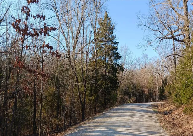 Photo 1 of Land for sale at 217 Rue Denise, Bonne Terre, MO 63628 | MLS# 24016534 | Listing updated on 2024-03-21