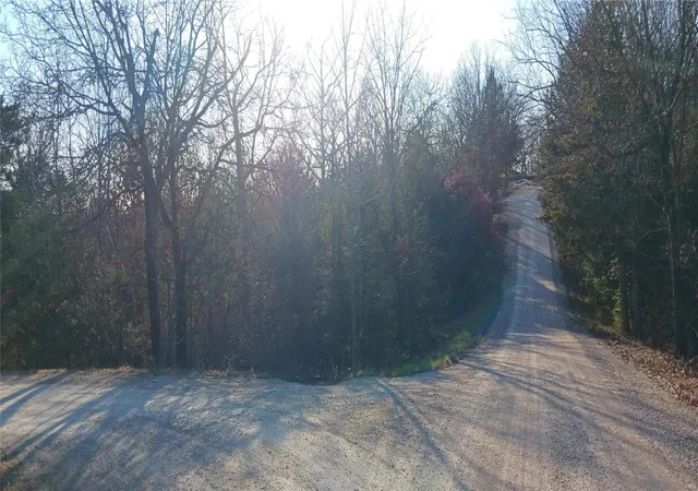Photo 2 of Land for sale at 217 Rue Denise, Bonne Terre, MO 63628 | MLS# 24016534 | Listing updated on 2024-03-21