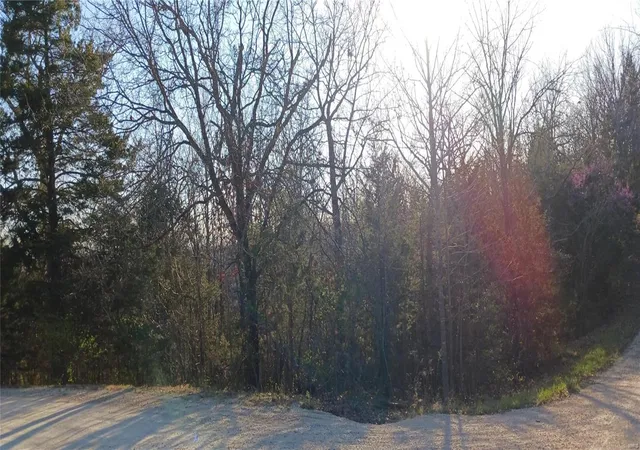 Photo 3 of Land for sale at 217 Rue Denise, Bonne Terre, MO 63628 | MLS# 24016534 | Listing updated on 2024-03-21