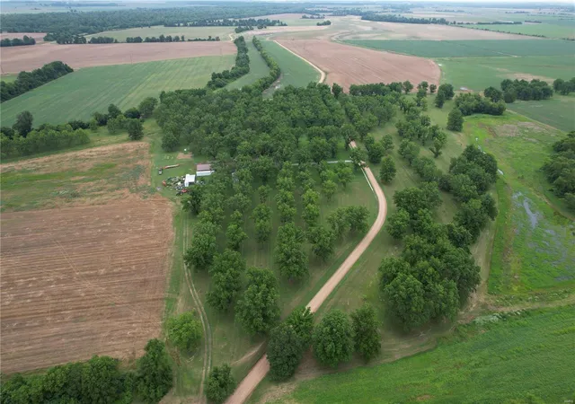 3rd image of 18465 County Road 405, Kennett, MO 63857 | MLS# 24017811