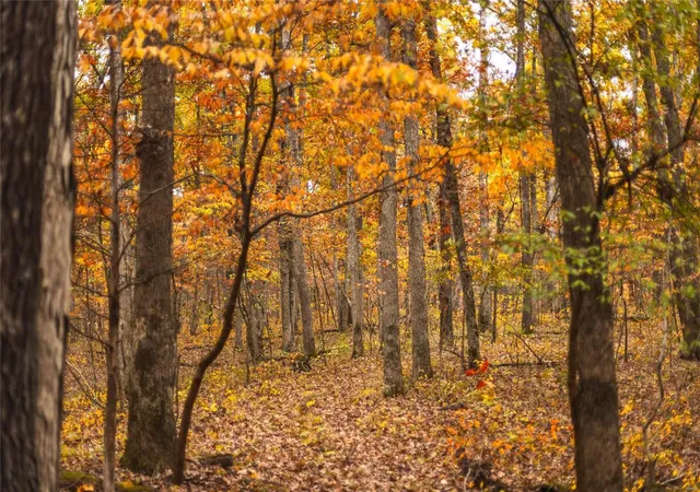 Photo 2 of Land for sale at 0 County Road 155 + 152, Williamsburg, MO 63388 | MLS# 24018198 | Listing updated on 2024-10-28