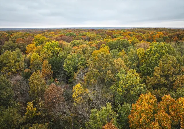 Photo 29 of Land for sale at 0 County Road 155 + 152, Williamsburg, MO 63388 | MLS# 24018198 | Listing updated on 2024-10-28