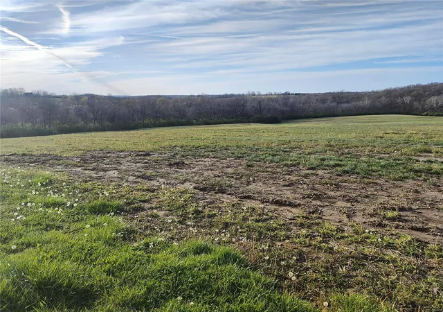 Homes for sale in Elsberry, MO | 0 Pebble Creek, Elsberry, MO 63343 | MLS# 24019138
