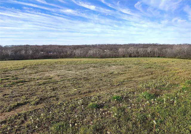Homes for sale in Elsberry, MO | 0 Pebble Creek, Elsberry, MO 63343 | MLS# 24019138