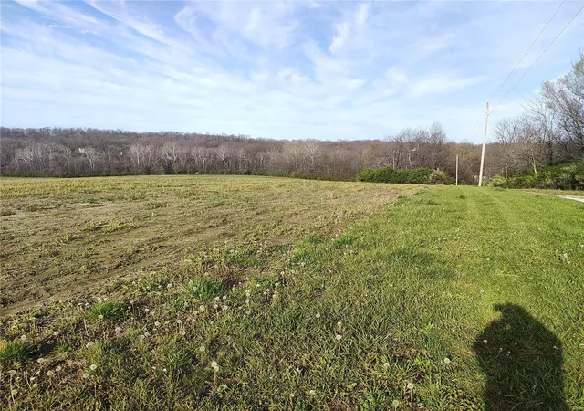 Homes for sale in Elsberry, MO | 0 Pebble Creek, Elsberry, MO 63343 | MLS# 24019138